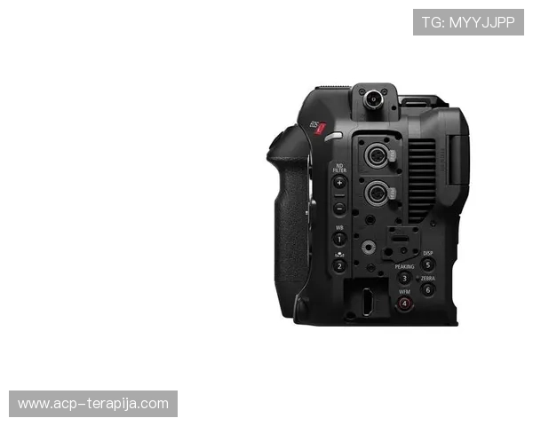 尊龙z6ag旗舰厅多样化的游戏玩法介绍，助你轻松掌握各种热门娱乐模式